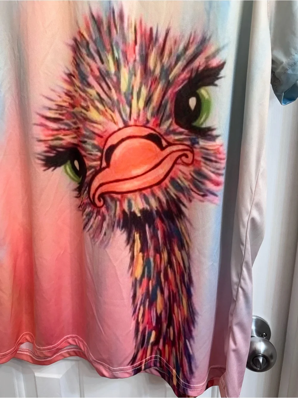 DIVAS LiMiTED
Pastel Ombre Ostrich Graphic Tee - Picture 5 of 8